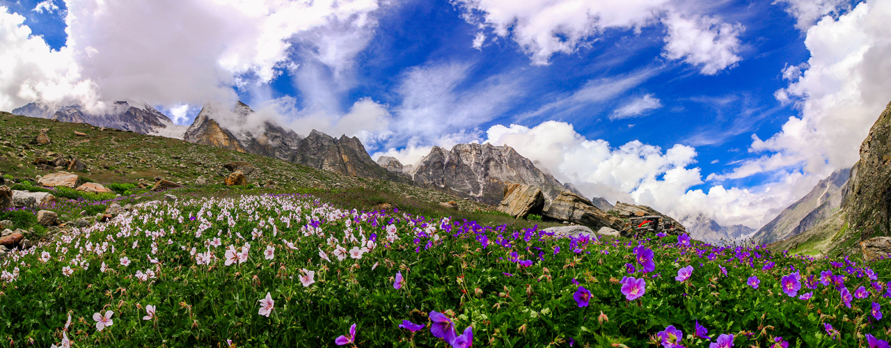 Valley of Flowers Closure 2024