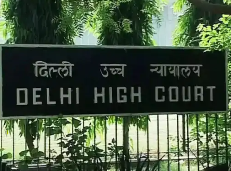 Delhi HC Orders Free Medical Treatment for POCSO Survivors