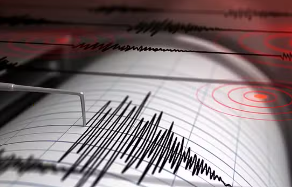 Mild Earthquake Tremors in Chamoli, No Damage Reported