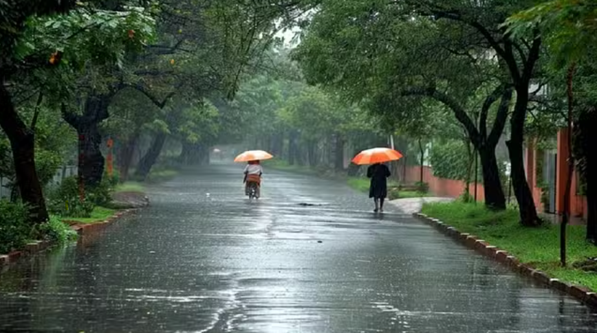 Rain and Snowfall Alert Amid Severe Cold in North India