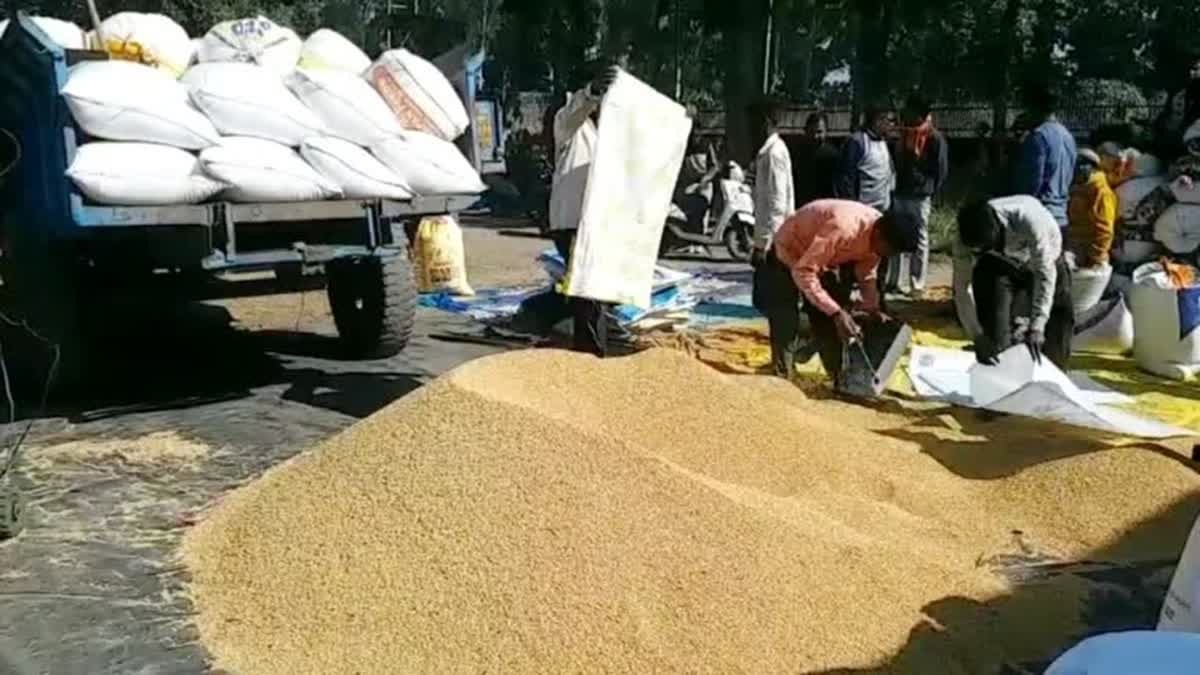 U’khand sets target for paddy procurement at 5.25 Lakh Tonnes this year