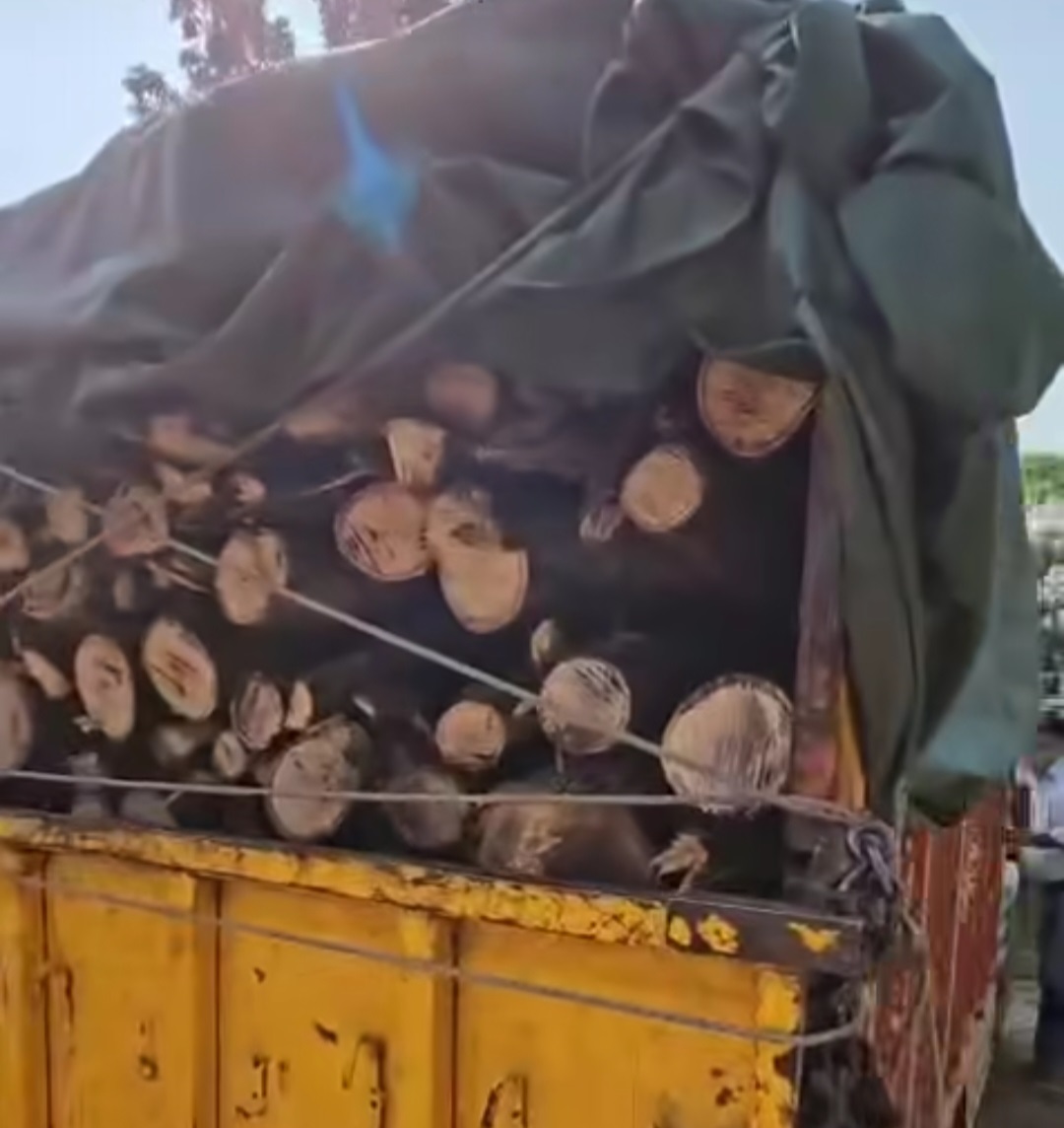 Dehradun: Forest Department Seizes Pickup Truck Carrying Illegal Timber in Midnight Raid