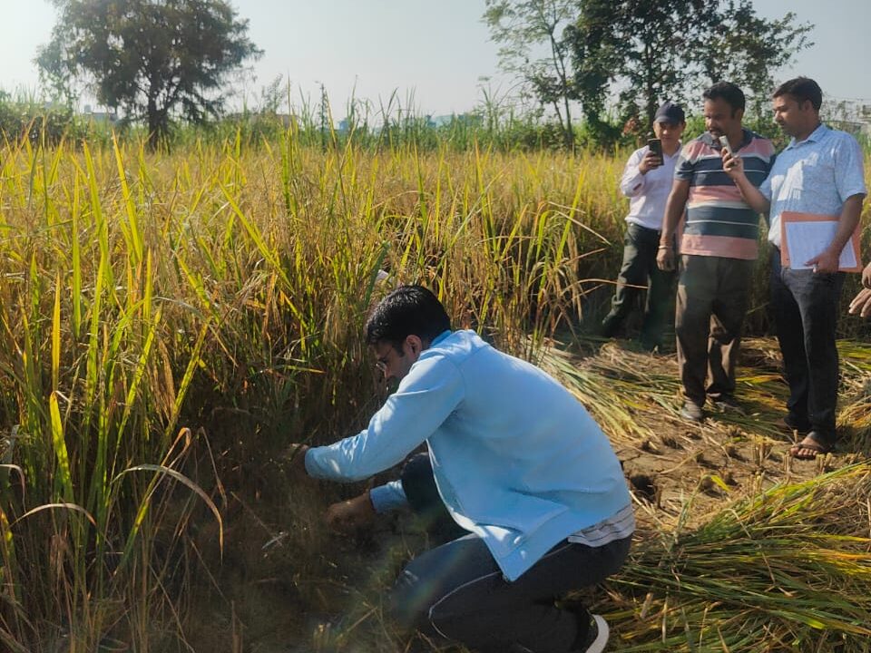 DM Savin Bansal Joins Farmers in Paddy Harvest, Inspects Crop Cutting Experiment in Dehradun