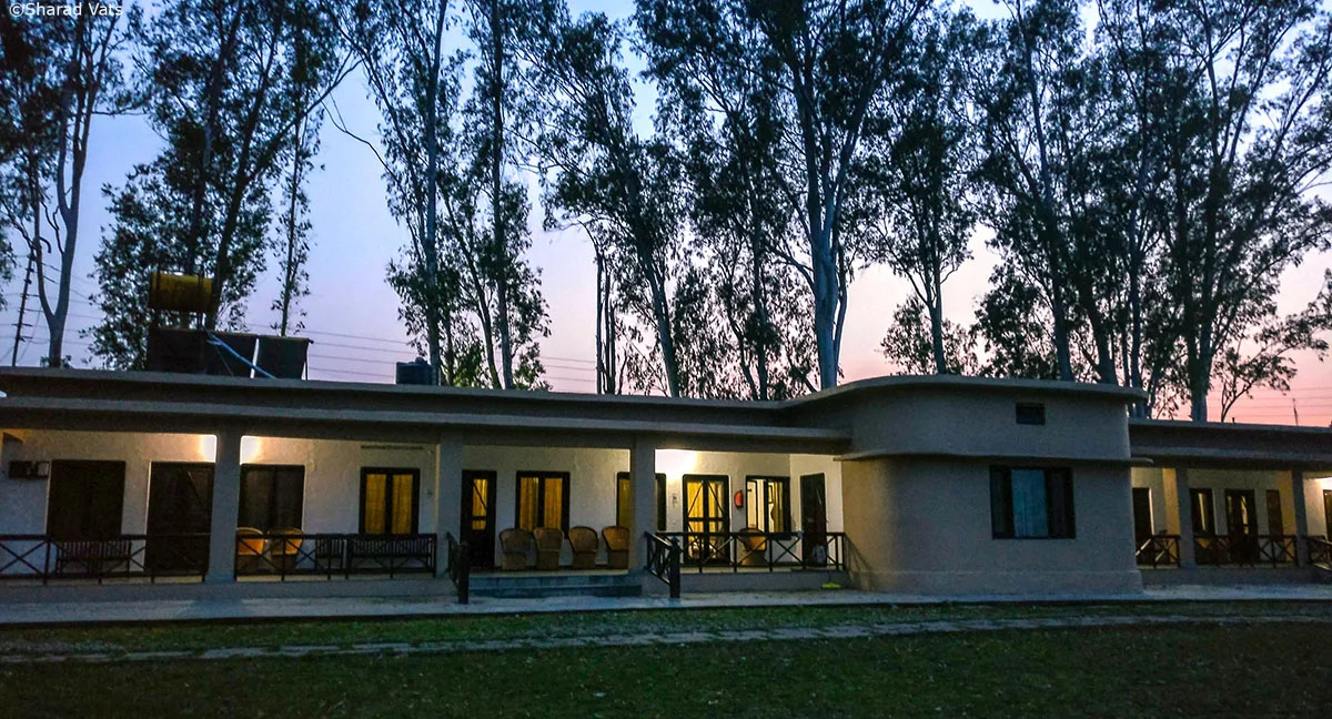 Tourists flock to Corbett Tiger Reserve as Dhikala Zone reopens