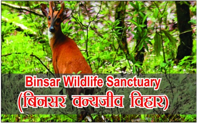 Binsar-Wildlife-Sanctuary
