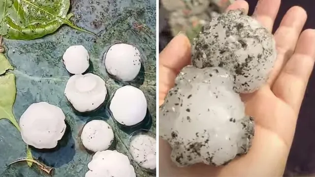 Heavy hailstorm in Pithoragarh damages crops, vehicles and property as large hailstones trigger disruption across the district.