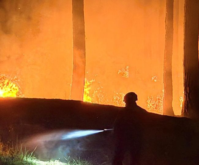 Massive forest fire erupts in Bageshwar, smoke engulfs area
