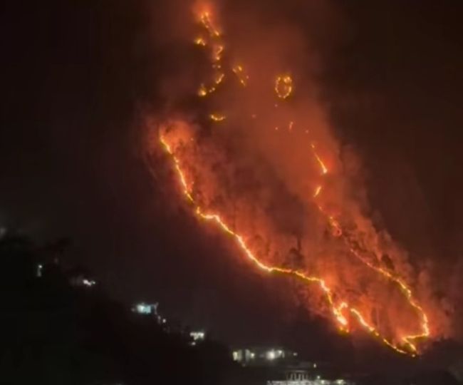 forest-fires-continue-in-chamoli-wildlife-moving-toward-residential-areas
