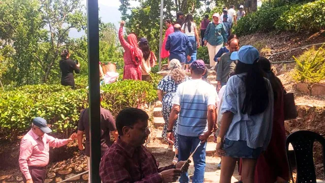 kausani-tea-gardens-draw-record-tourists-even-during-monsoon